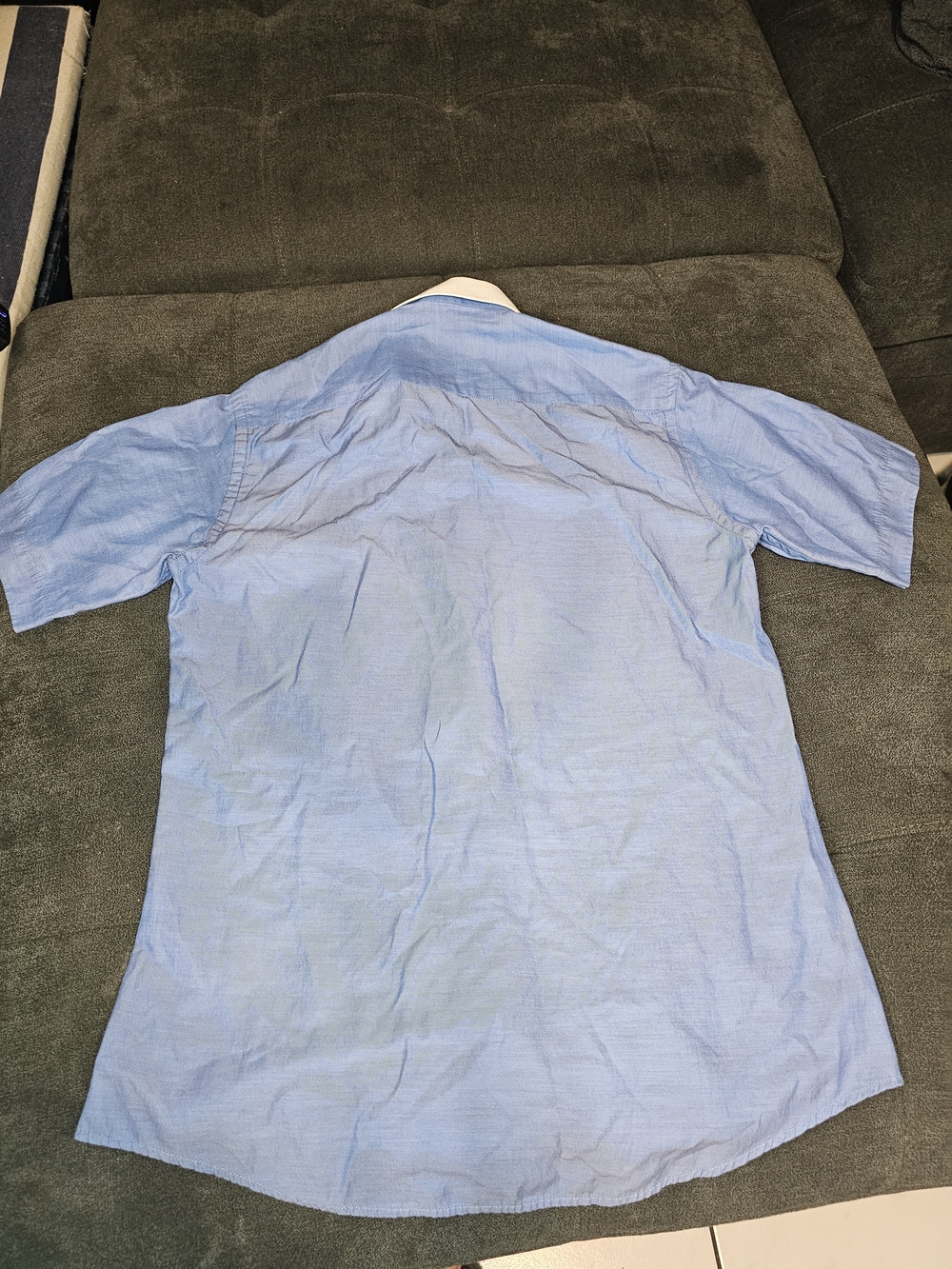 Zara Sky Blue Short-Sleeve Button-Down with White Trim - Picture 5 of 5